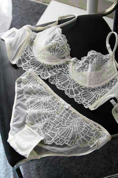 PASKE Brand Women Bra Set Full Transparent Lace Bra And Panty Set Underwear