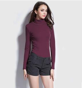 New Fashion Brand Women Autumn and Winter Long Sleeve Turtleneck T-shirt