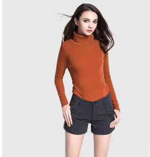 New Fashion Brand Women Autumn and Winter Long Sleeve Turtleneck T-shirt