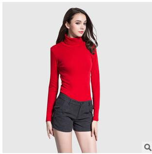 New Fashion Brand Women Autumn and Winter Long Sleeve Turtleneck T-shirt